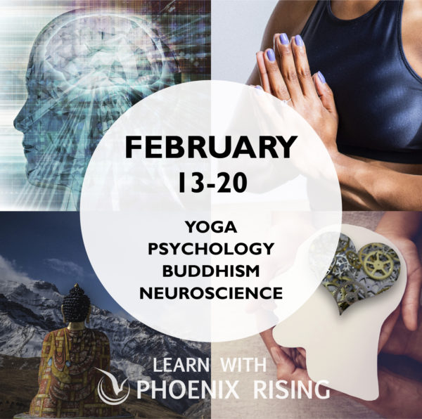February 13-20 PRYT Essentials: Yoga, Psychology, Buddhism, Neuroscience. Learn with Phoenix Rising. Click to go to more information.
