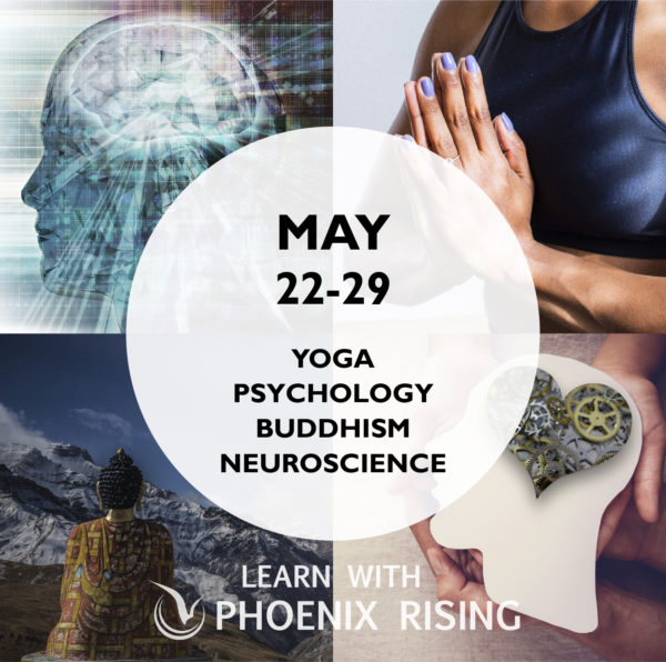 May 22-29 PRYT Essentials: Yoga, Psychology, Buddhism, Neuroscience. Learn with Phoenix Rising. Click to go to more information.