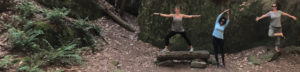 online yoga therapy certification students in yoga poses in the woods